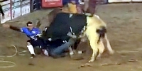 Bull Ends Rodeo Early