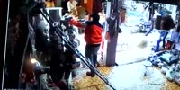 Holy cows fight in the street shop after destroying it