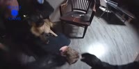 Bodycam K9 Officer Takes Bite Out Of FOP Lodge Burglary Suspect