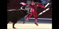 The virginity of the bullfighter.