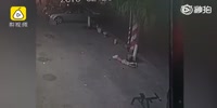 Guy survives hard landing after falling 5 floors