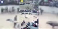 man gets killed by bull