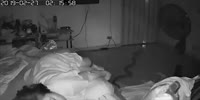 Wild python slithers into bedroom and bites sleeping woman