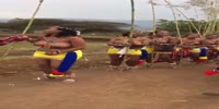 Load of boobies