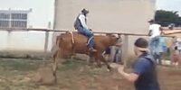 Amateur Bull Rider Destroyed