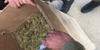 Someone gonna miss high times