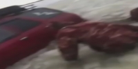 Man films as his SUV drowns