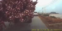 Dumb asshole causes the crash