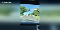 Kansas driver uses windshield wiper to get snake off moving vehicle