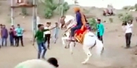 Rider Smashed by Own Horse