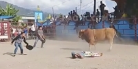 Bullfighter Thrown Head-First
