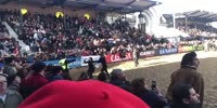 Vegans stage protest during a rodeo