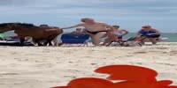 Guy in Speedo gets kicked