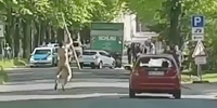 Naked Man Goes After Police
