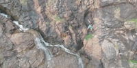 FAIL: Goat Catcher Falls off Mountain