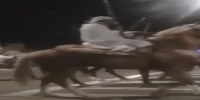 Arabian Knights rifle fail
