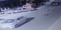Biker clips a car &lands on the road face first