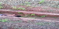 Accident victim suffers injuries
