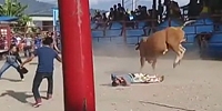 Bull Has No Time for His Shit