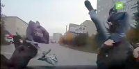 Couple Mowed Down on Russian Dashcam
