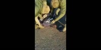 Russian cops get busted.