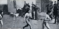 Naked women humiliated