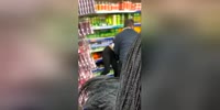 Suspected shoplifters fight with shopkeepers in London (R)