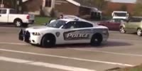 Thug steals cop's gun, gets tasered then steals cop car and escape