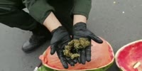 Drug Traffickers Hide Weed in Watermelons