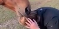 The horse clutched at the girl and does not let go