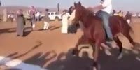 Bystander Gets Knocked Out by Horse