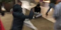 The mall brawl