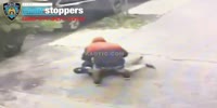Thug drops & robs 80 YO man in Brooklyn