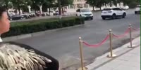 Crazy driver rams bystanders