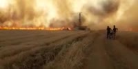 A large fire of farmland broke out in the area of ​​Ras el-Ain in northern Syria
