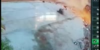 Rollover !