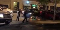 Thug crashes through Rock Island police squad car to escape arrest