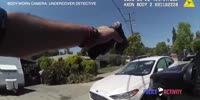 Cops Unloads on Man Ramming into PD Cruiser