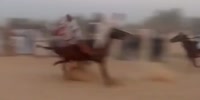 Horse Race Accident
