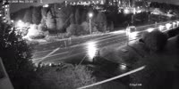 Russian Frogger