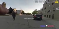 killed by cop in fight