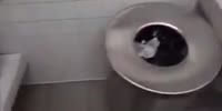What an asshole