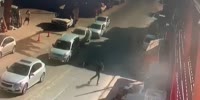 Off Duty Cop Shoots Robber In Advance
