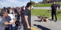 RIOT COP RELEASED DOG ON MIDGET PROTESTER
