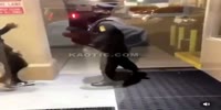 Philly Cop Gets Randomply Punched
