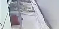 Idiot of day