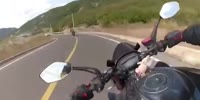 Adventures Of Moto Morons