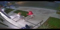 Hoodrat busted assaulting veteran