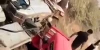 Workers Fight Over Sand