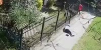 Filthy Purse Snatcher Knocks Out A Girl